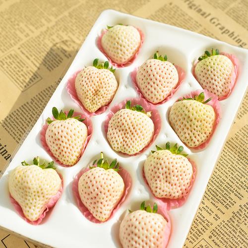 日本奶油草莓-日本奶油草莓厂家,品牌,图片,热帖